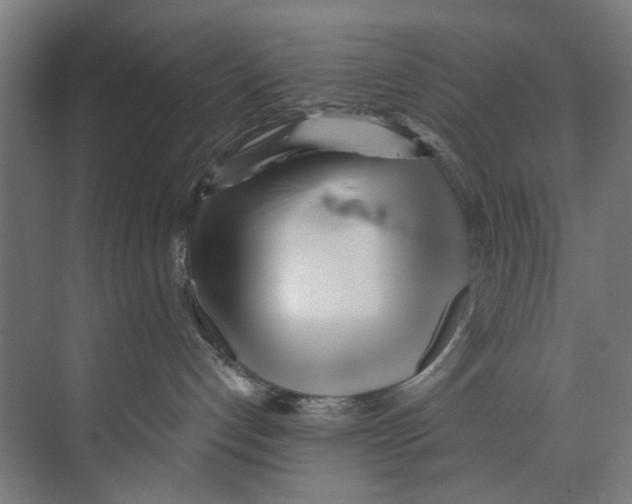 X0000073520192200608281743