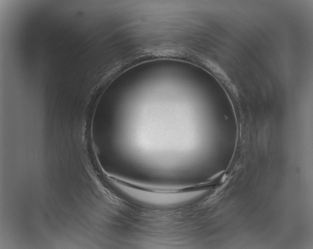 X0000073520201200608281742