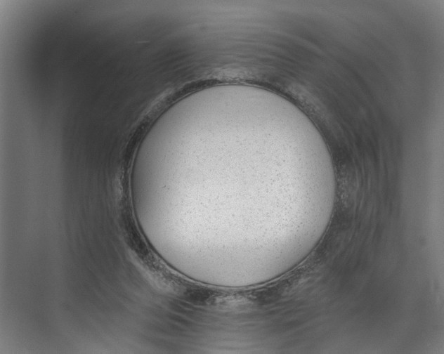 X0000073520208200608281742