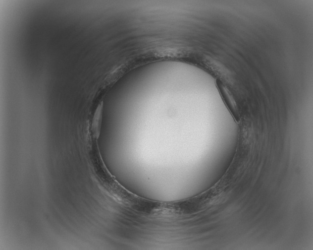 X0000073520211200608281741