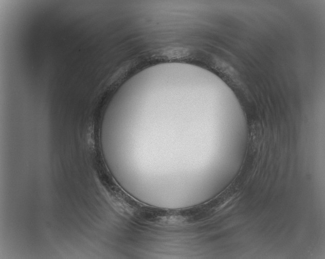 X0000073520212200608281741