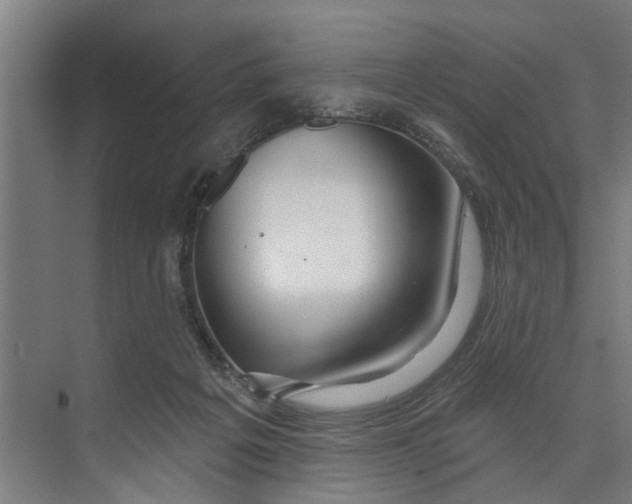 X0000073520217200608281741