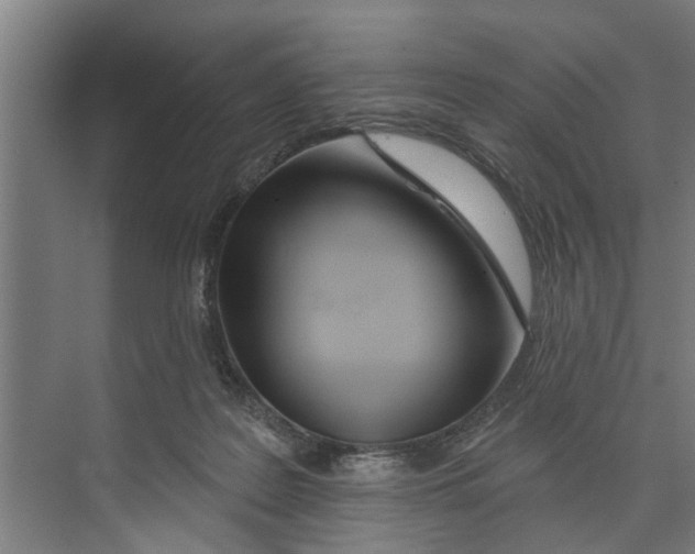 X0000073520219200608281741