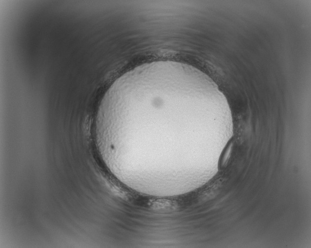 X0000073520230200608281741