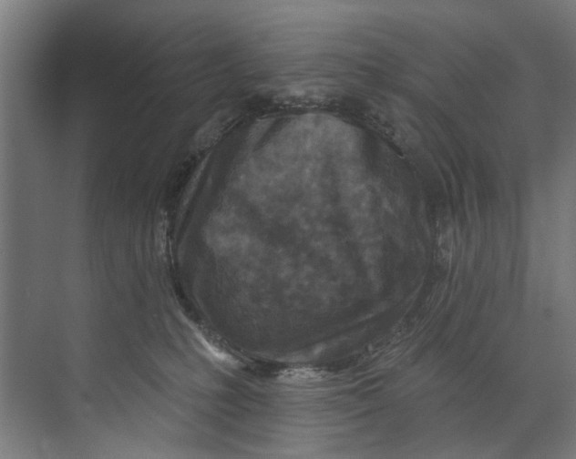 X0000073520231200608281741