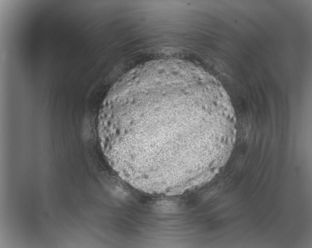 X0000073520236200608281741