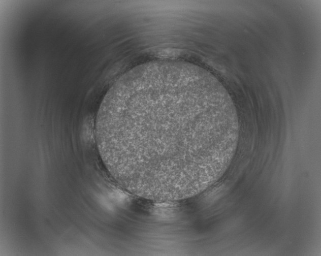 X0000073520240200608281741