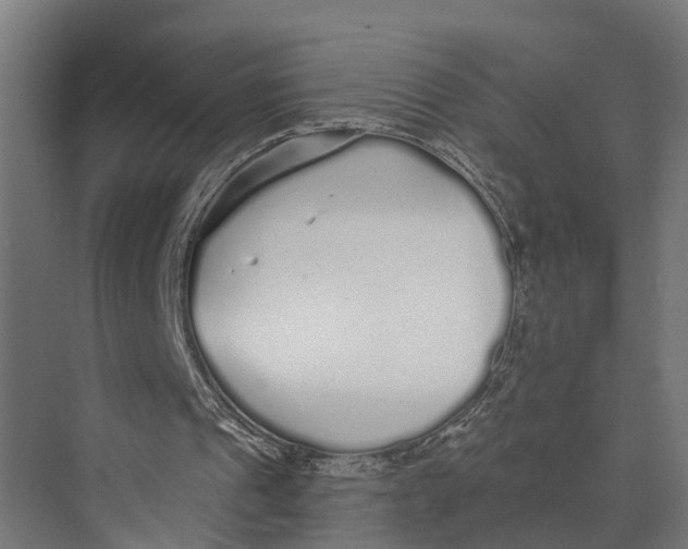 X0000073520241200608281740