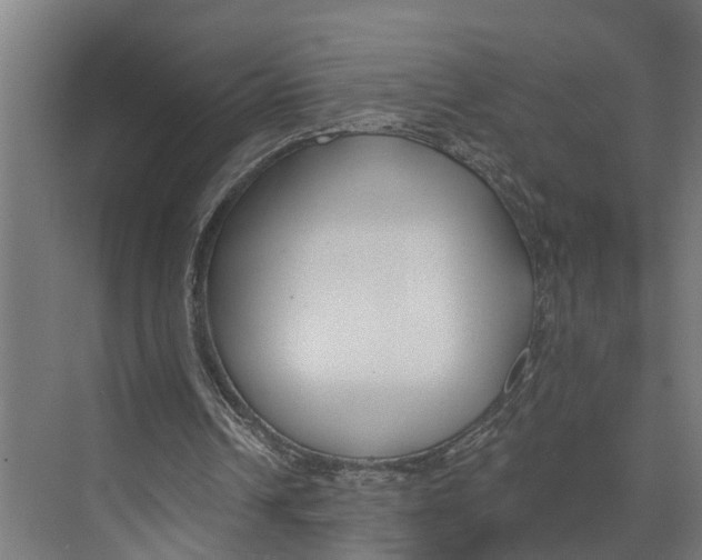 X0000073520242200608281740