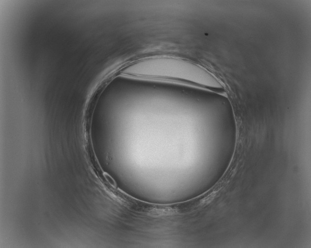 X0000073520245200608281740