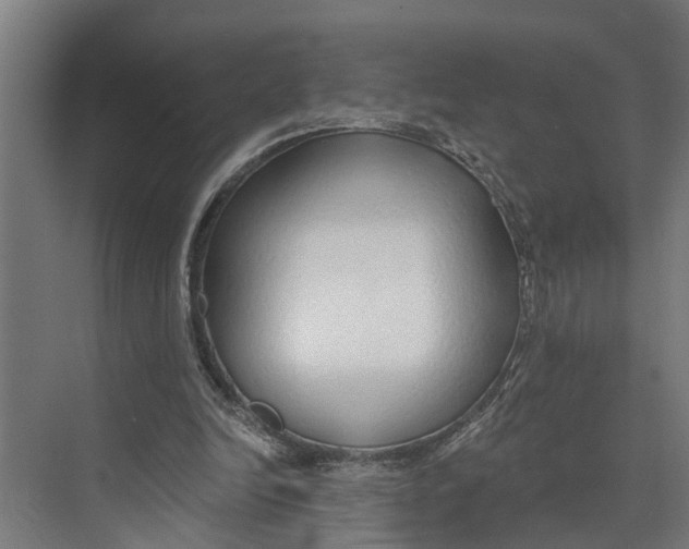 X0000073520246200608281740