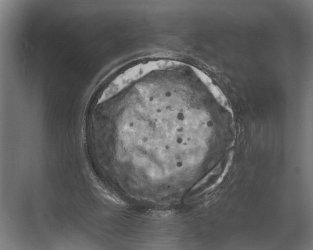 X0000073520247200608281740