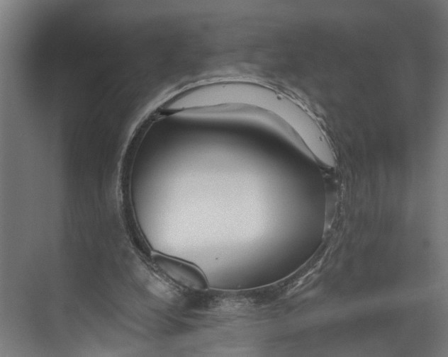 X0000073520248200608281740