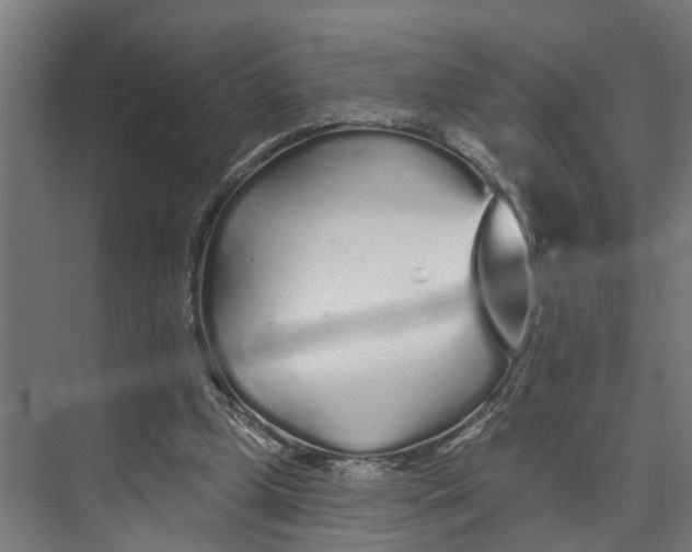 X0000073520249200608281740