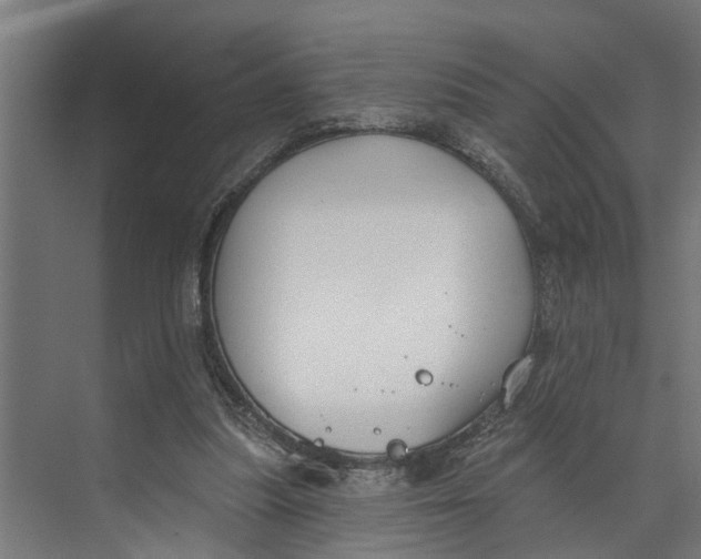 X0000073520251200608281740