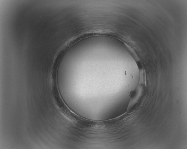 X0000073520252200608281740