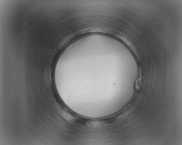 X0000073520253200608281740