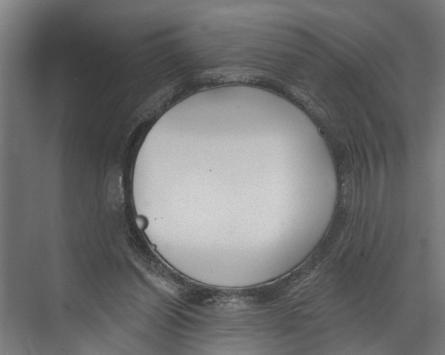 X0000073520254200608281740