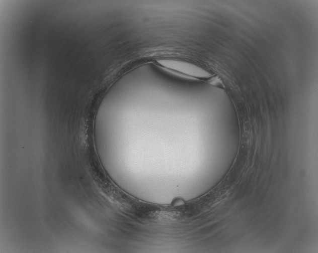 X0000073520255200608281740