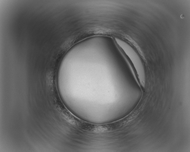 X0000073520257200608281740