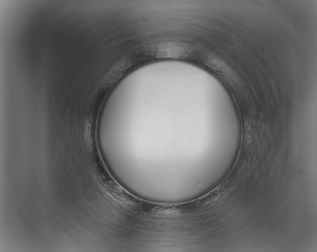 X0000073520258200608281740