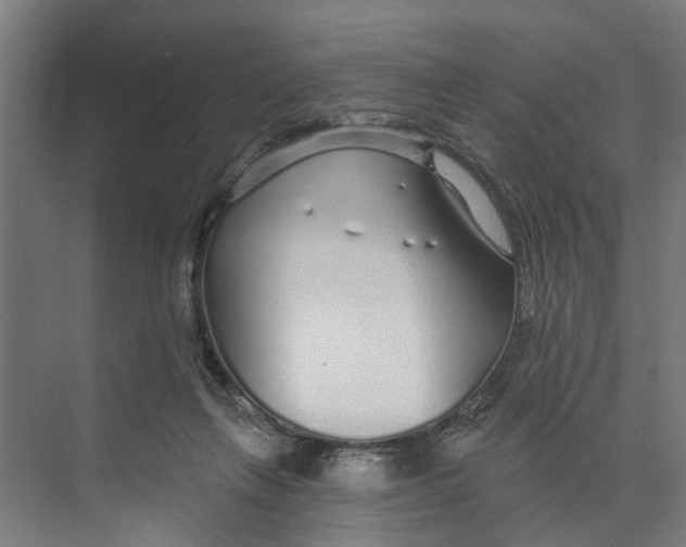 X0000073520263200608281741