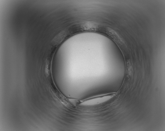 X0000073520266200608281741