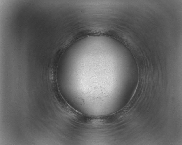 X0000073520268200608281741