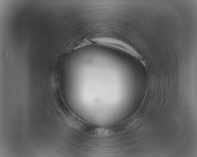 X0000073520272200608281741