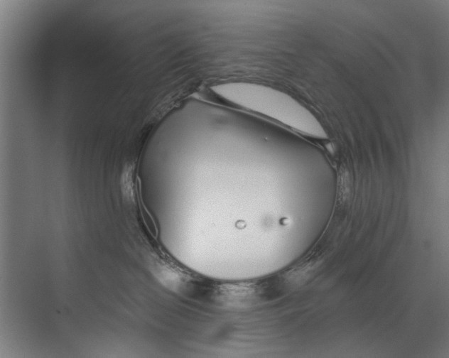 X0000073520286200608281741