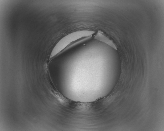 X0000073520288200608281741