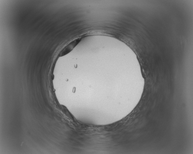 X0000073520289200608281740