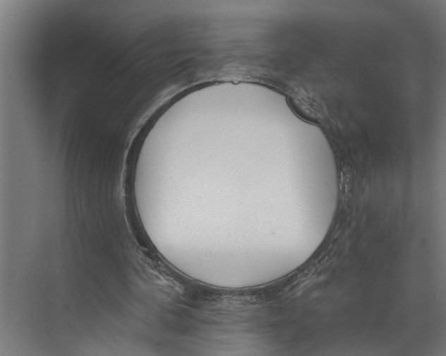 X0000073520292200608281740