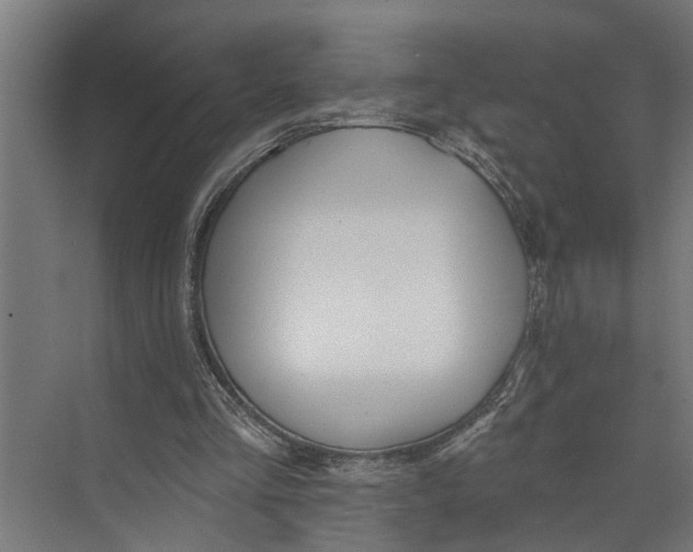 X0000073520293200608281740