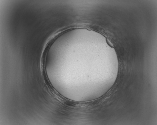 X0000073520294200608281740