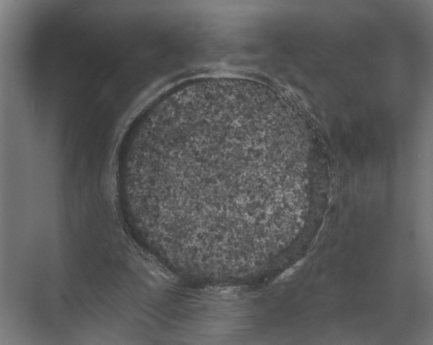 X0000073520295200608281740