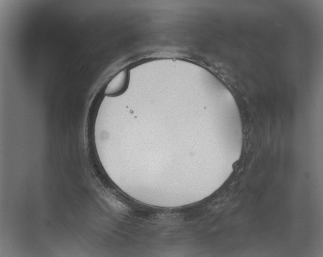 X0000073520296200608281740