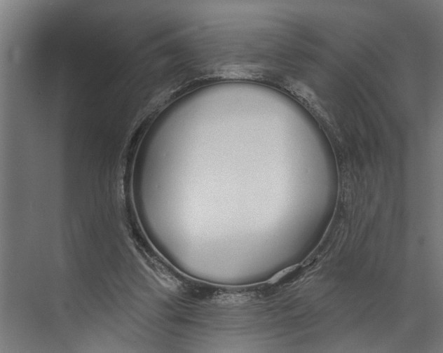 X0000073520299200608281740