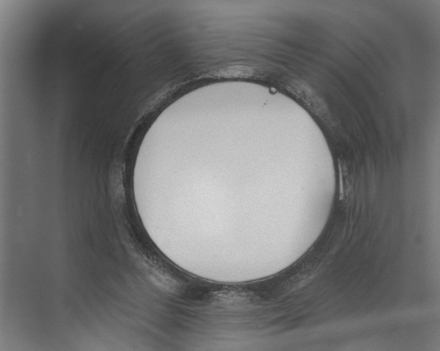 X0000073520300200608281740