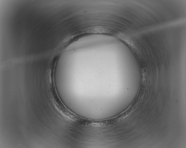 X0000073520302200608281740