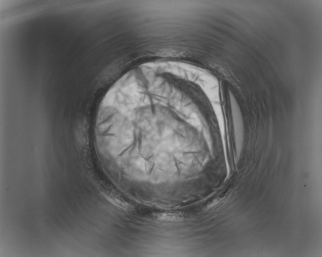 X0000073520303200608281740