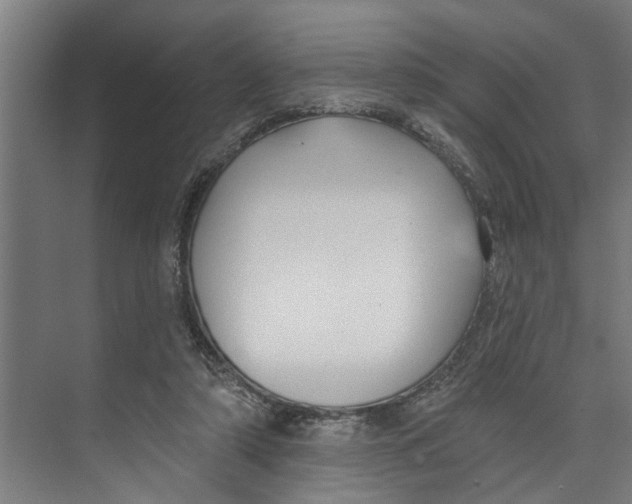 X0000073520306200608281740