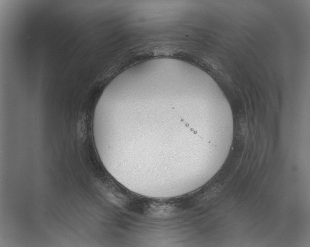 X0000073520311200608281740