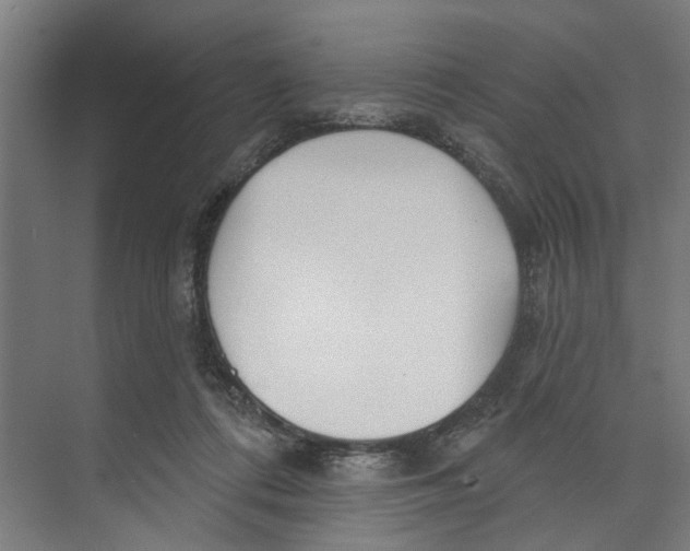 X0000073520312200608281740