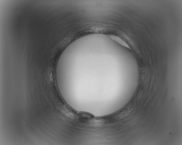 X0000073520313200608281740