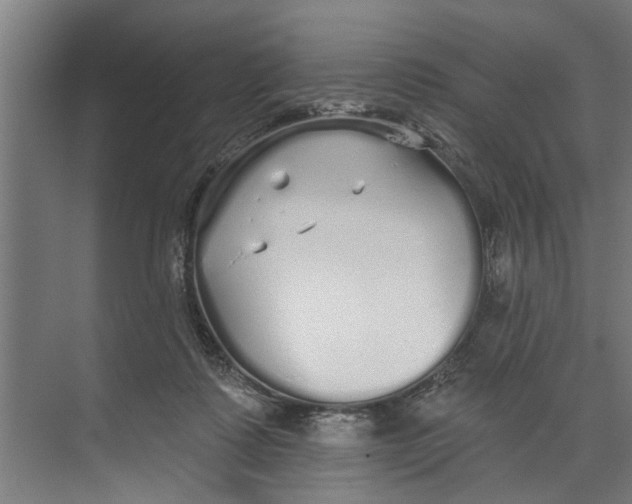 X0000073520315200608281740