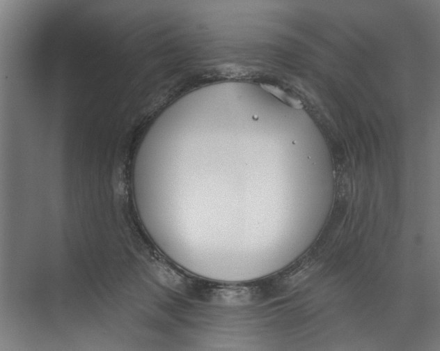 X0000073520317200608281740