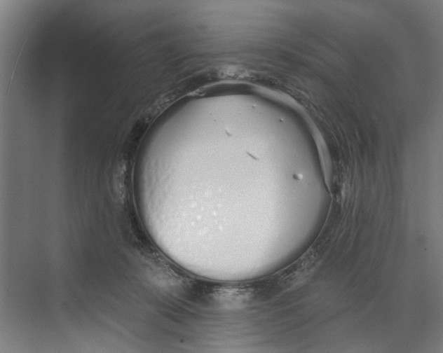 X0000073520319200608281740