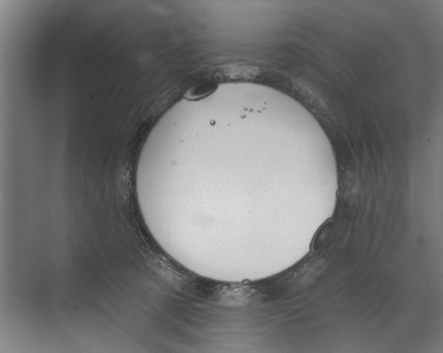 X0000073520321200608281740