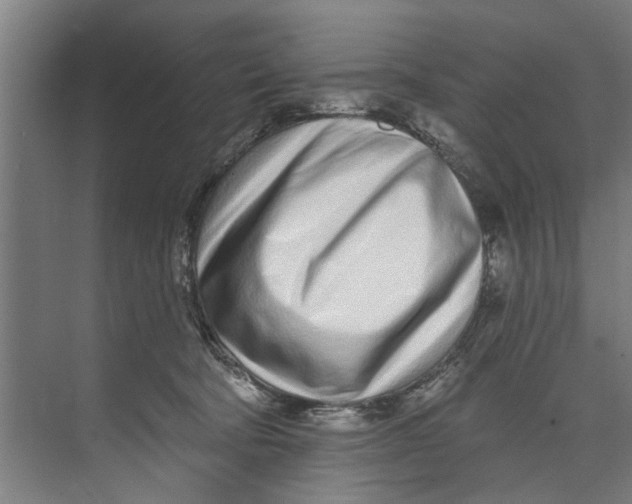 X0000073520322200608281740